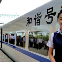 動車乘務專業(yè)